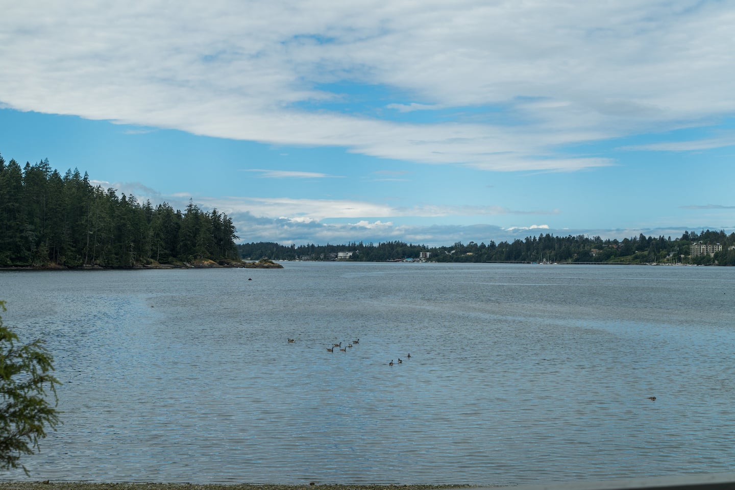 The Crow's Nest – Panoramic Oceanfront — photo 20